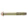 Steelrex anchor bolt, with a nut, galvanized, 10x75 mm, 100 pcs