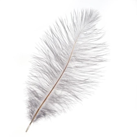 Feather for decor, size: 25-30 cm, gray color