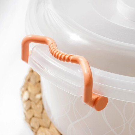 Food container, 5 l, color mix-4