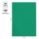 A4, 100 microns, calligrata, economical, transparent, green folder