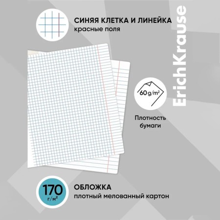 A set of subject notebooks 36 sheets, 12 pieces, Erichkrause "Timeline", coated cardboard, Blok OFSET 100%, information block-23
