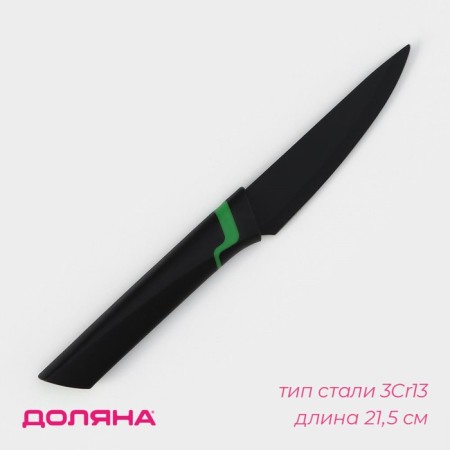 Kitchen knife for vegetables Simplex shares, blade length 10 cm, black color