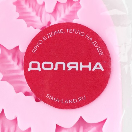 Silicone Mold Dolyana "Berries and Leaflets", 8.5 × 5.5 cm, pink color-6