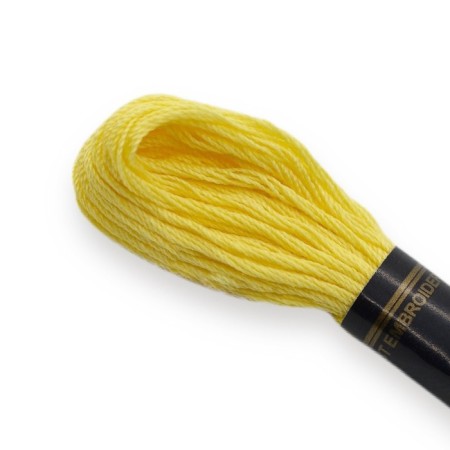 Bestex muline threads (103), 24 pcs. packaged-1