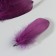 A set of goose feathers 13-18 cm, 20 pcs, dark purple