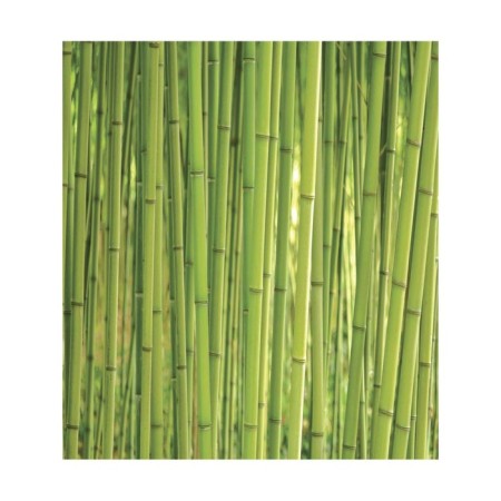 A set of napkins for setting the Bamboo Secret table, rectangular, size 32x46 cm, 4 pcs-2