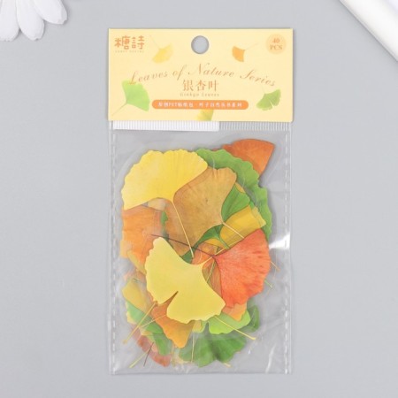 Stickers for creativity plastic "Ginkgo leaves" set 40 pcs 0.3x8x14.8 cm-3