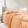 Beddower Ethel 1.5sp Mustard Stripes 143x215cm, 150x214cm, 70x70cm-2 pcs, 100% cotton, Poplin