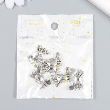 Decor for creativity Metal "Krabik" set 6 pcs silver 1.6x2.3 cm-3