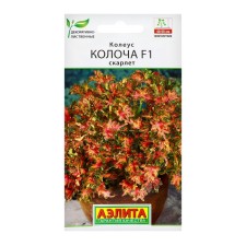 Flowers Koleus 