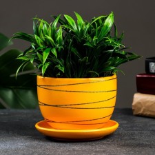Flower pot 