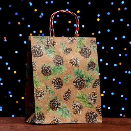 Gift package "cones in the snow" 26 x 32 x 12 cm