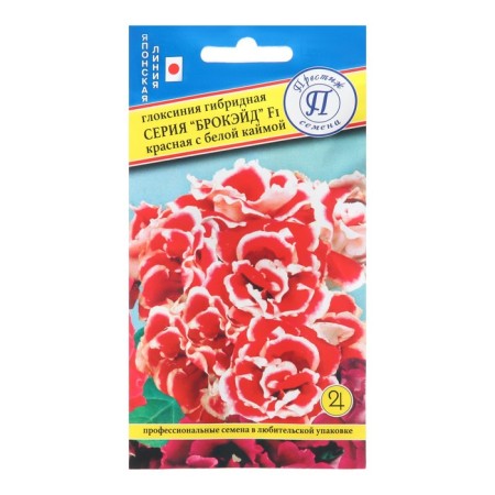 Gloxinia flowers "Brockie", red with a border, f1, dragee, 10pcs