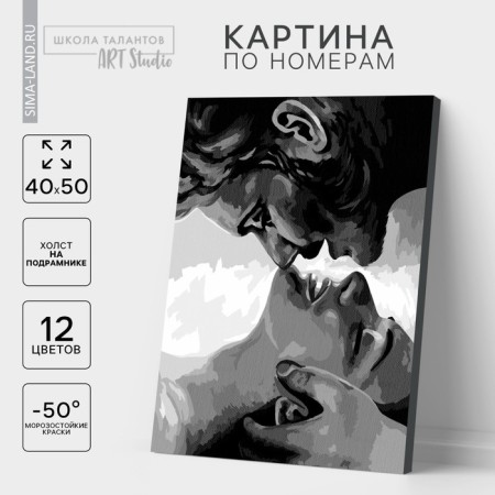 Picture on numbers on a canvas with a subframe "Kiss", 40 x 50 cm