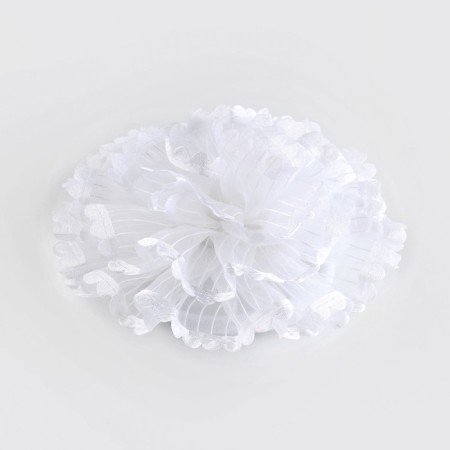 Graduation. Bant for hair on elastic band, white, 10.5 cm, princesses-3