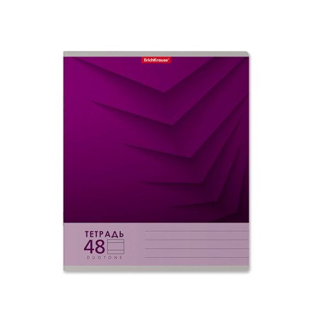 Notebook of 48 sheets in the Erichkrause "Duotone Next", cover coated cardboard, an offset block 100% whiteness, mix-3