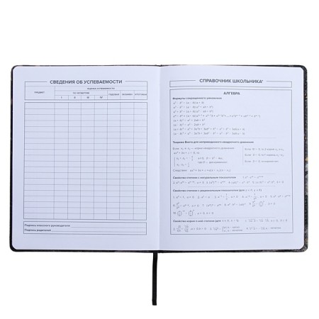 Universal Diary Grade 1-11, 48 sheets "Break the Rules", a solid cover of artificial leather, lies, an offset unit-9
