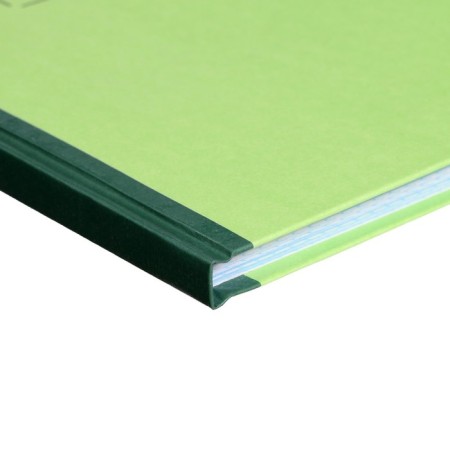Book of accounting, 96 sheets, cardboard cover 7B, offset block, cell, green color (imitation)-2