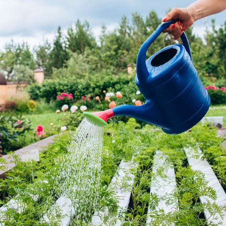 Watering can, 10 l, with a dispatcher, nose d = 35 mm, color mix, "classic"-7