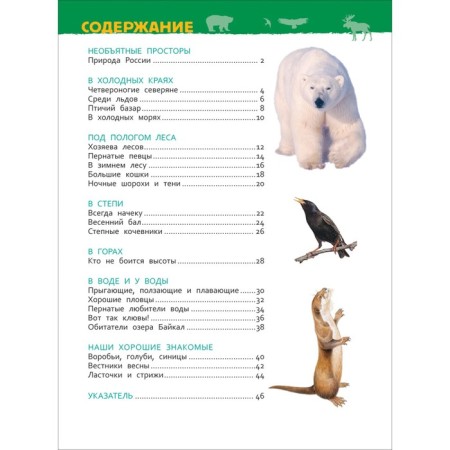 Encyclopedia for kindergarten "Animals of Russia"-3