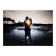 Picture on the canvas "Lovers" 50*70 cm
