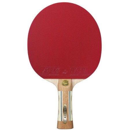 A set for table tennis ATEMI Lux: 1 racket, case, 2 goals-1