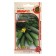 Seeds Ogurets "Ivanovich", F1, 0.25 g.
