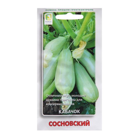 Semen Kabachki "Sosnovsky", 12 pcs