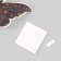 Butterflies cardboard "Cosmos" set 12 pcs h = 4-10 cm