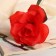 Artificial flowers "Simple open" D-8 cm 50 cm, red