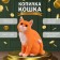 The piggy bank "Red -colored cat" height 31.5 cm, width 16 cm, length 24 cm.