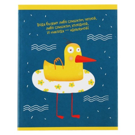 Notebook of 48 sheets in the “Ducks” cage, cover of chrome-erzatz, block No. 2 (gray sheets), mix 5 types-2