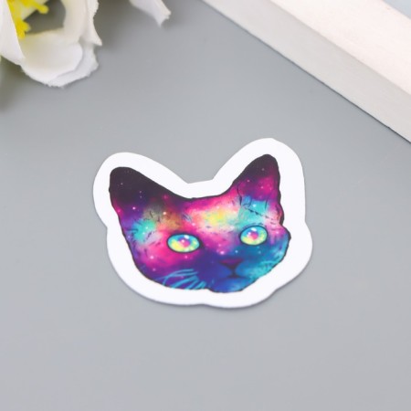 Stickers Stickers for Scrapbooking "Cosmos" 9-336-1