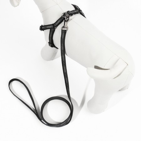Sports set a reflective, leash 120 x 1 cm, fire 23-35 cm, black-2