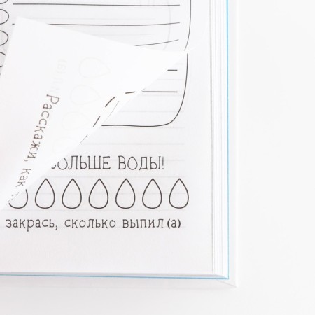 Creative diary, solid cover A5, 120 liters of "Corgi"-14