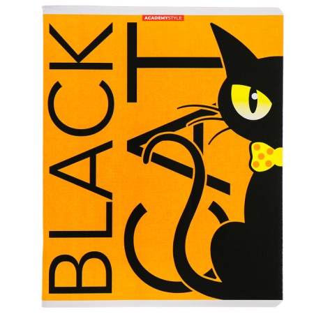 Notebook of 48 sheets in the Black Cat cage, covered cardboard, fluorescent paints, mix-4