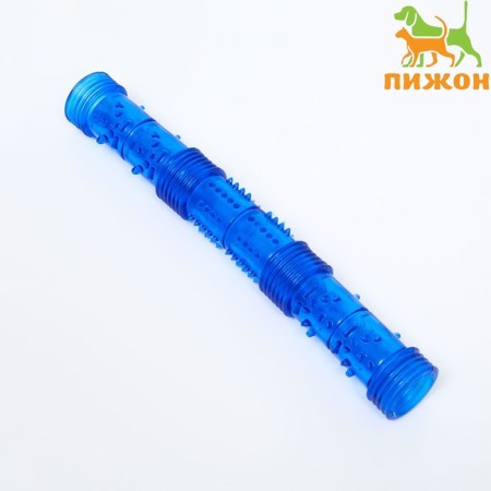 Toy training chewing "stick" hollow, 24.5 cm, blue