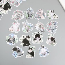 Stickers for creativity 