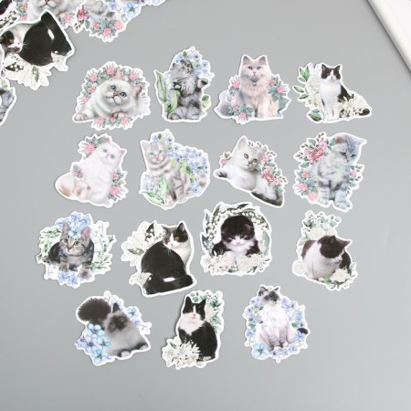 Stickers for creativity "Cats in colors" 8x8 cm set 45 pcs 0.5x14.5x9.4 cm