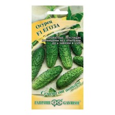 Cucumber seeds 