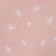 Bed linen "Ethel" euro dandelions (view 1) 200*217 cm, 220*240 cm, 70*70 cm - 2 pcs