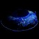 Winter Star Tubing Water Star Night, LED lighting, case diameter 120 cm