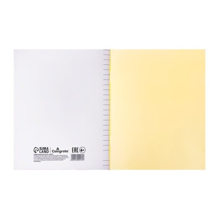 Notebook 48 sheets, in a ruler, a plastic cover, with an alphabet, an offset block, yellow-5