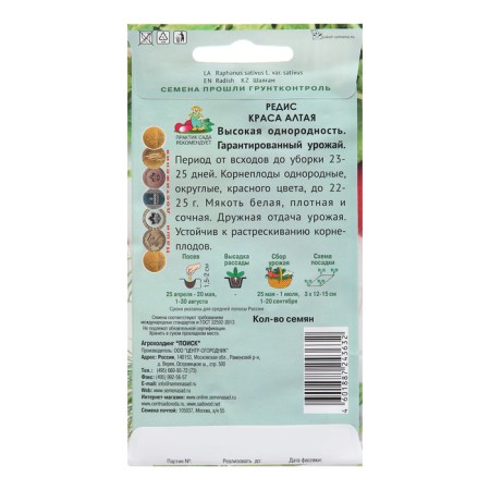 Seeds Radis "Beauty Altai", 3 g-1