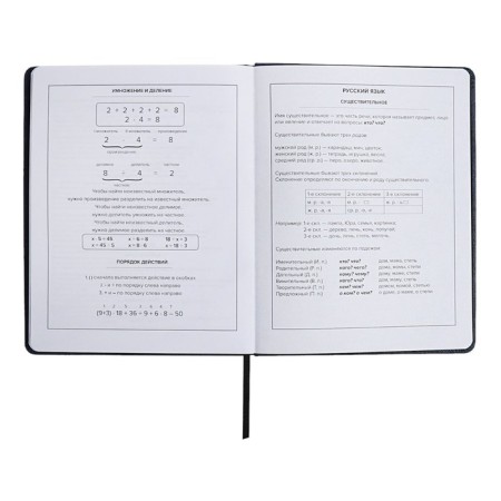 School diary for grades 1-11, solid cover, artificial leather, applique, pancake embossing, metal scenes, silk-screen water, lies, 48 ​​sheets, block 80g/m2, blue-11