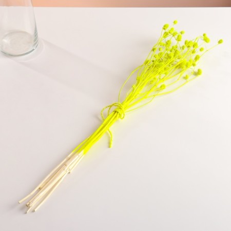 A set of dried flowers "Eringium", ban 5 pcs, length 55 (+/- 6 cm), bright yellow-3