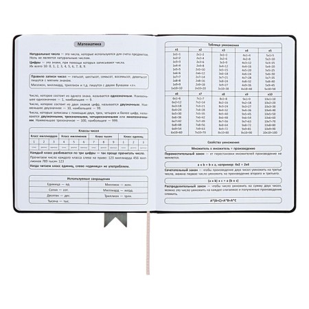Universal diary for grades 1-11 Lenta, solid cover of artificial leather, applique, silkography, liesse, 48 sheets, black-7