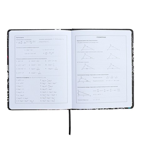 Universal Diary Grade 1-11, 48 sheets of "cyberism", solid cover of artificial leather, lies, universal cheat sheet, block 80 g/m2-8