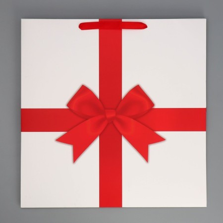 Square gift package, packaging, red, 40 x 40 x 40 cm-5