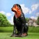 Garden figure "Rotweiler sitting" large 22x40x65cm